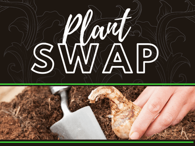 Plant Swap Donations